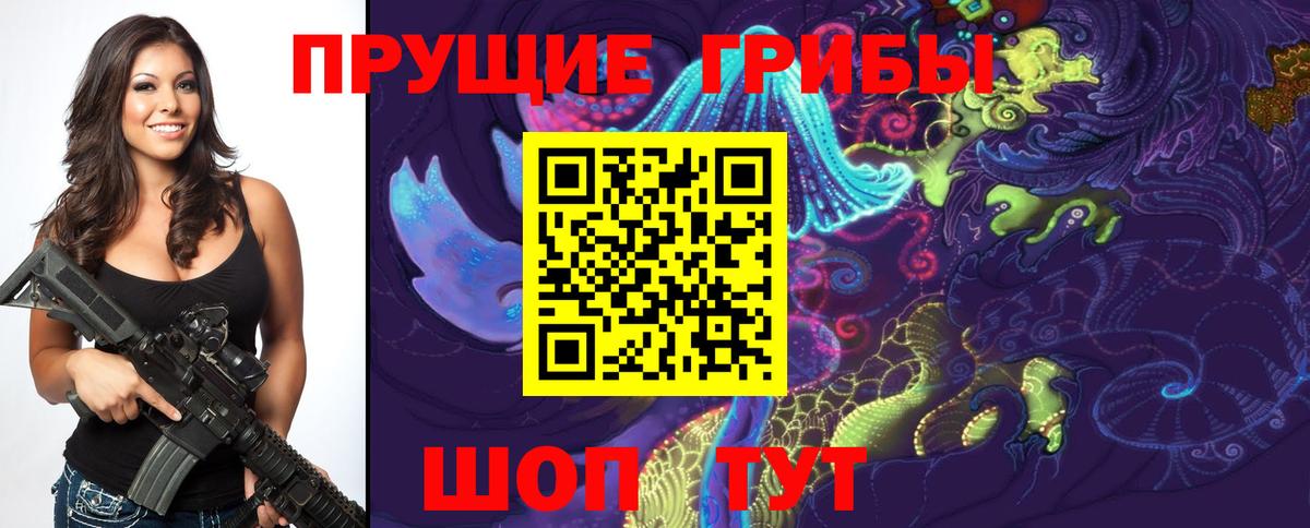 Псилоцибиновые грибы Psilocybine cubensis Курганинск
