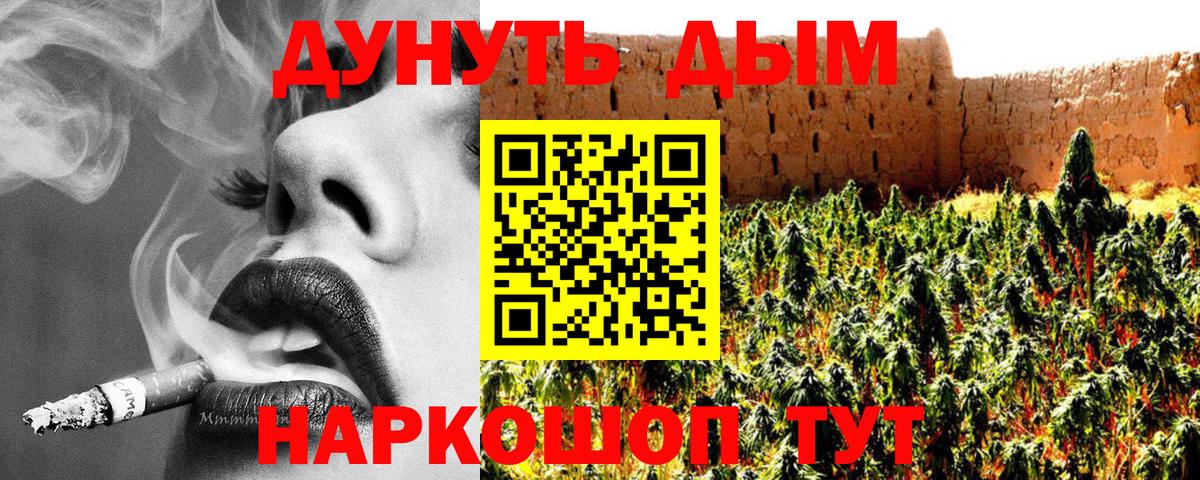Бошки Шишки планчик Курганинск